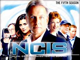 海外ドラマ|NCISシーズン5の動画を無料視聴できる配信サイト