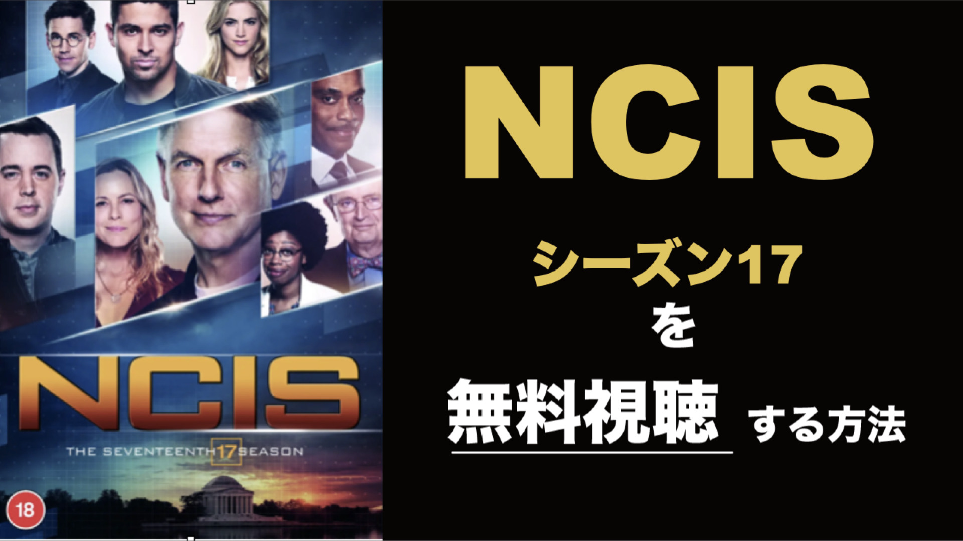 海外ドラマ|NCISシーズン17の動画を無料視聴できる配信サイト